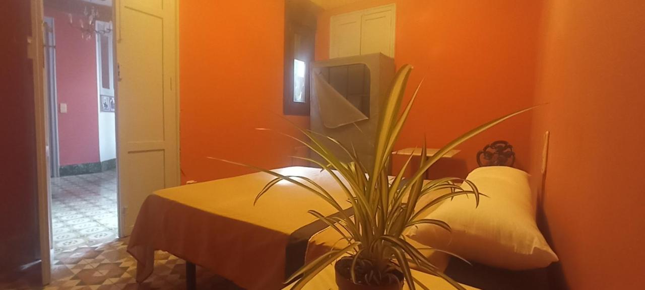 Casa Artistica Bed & Breakfast Gandía Eksteriør bilde